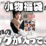 【まさかの大当たり🎯】スタイルオンバッグの小物福袋からまさかのバッグが出てきたｗ2セット同時開封✨
