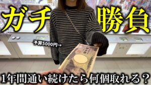 【クレーンゲーム】1年間とある店舗に通い続けたら5000円で何個取れる？【ufoキャッチャー】