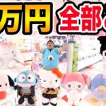【サンリオ全部取る!!】クレーンゲーム3万円でサンリオキャラクター大賞TOP10を全部取りきることが出来るのか?!