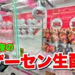 【生配信】聖なる夜のクレーンゲーム生配信！！！【クレーンゲーム】