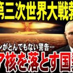 【ゆっくり解説】ロシア核使用国を発表する！