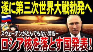 【ゆっくり解説】ロシア核使用国を発表する！