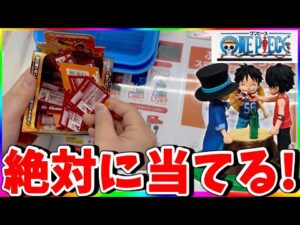 【使命】一番くじで遂に登場!!ワンピースロゴフィギュア狙ったらまさかの展開に...