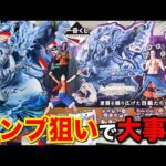 【一番くじ】ワンピース！全コンプまで終われません企画！開店と同時に引いた結果がヤバすぎた。｜一番くじ、ワンピース、一番賞