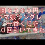 【一番くじ】１回３０００円のシングレ一番くじを引いてきた！