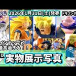【展示写真】一番くじ ドラゴンボール BATTLE OF THE SUPER SAIYAN フィギュア