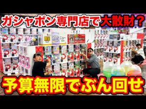 【予算無限∞】ガシャポン専門大型店に潜入！大量に回しまくったら最高すぎた。（ガチャガチャ、キン肉マン、ハリーポッター、サンリオ）