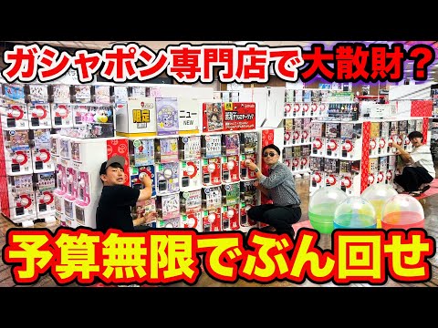 【予算無限∞】ガシャポン専門大型店に潜入！大量に回しまくったら最高すぎた。（ガチャガチャ、キン肉マン、ハリーポッター、サンリオ）