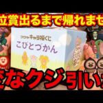【くじ】こびとづかん！このクジはヤバすぎる、上位賞当たるまで引いたら奇跡の結果に。（一番くじ、一番賞、クジ）