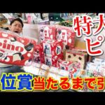 【一番くじ】森永ピノ！あの大人気アイスがまさかの一番くじ化！上位賞がヤバすぎた。｜一番くじ、一番賞、ピノ