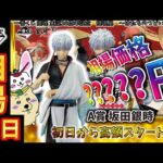 【一番くじ 相場情報】初日『一番くじ 銀魂 生誕20周年記念　銀魂展　～はたちのつどい～ その弐』初日からA賞 坂田銀時が驚愕の価格を記録！今後の値動きはどう推移していくのか！？【グラフで解説】