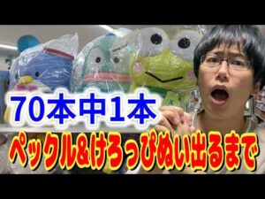 【サンリオくじ】70本中1本のぬいぐるみを2種狙う無謀な挑戦!あひるのペックルとけろけろけろっぴぬいぐるみが出るまではぴだんぶいくじを引きまくる!!【Sanrio/当りくじ】