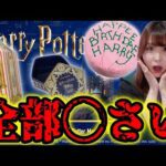 ハリポタ一番くじで"言ってはいけないあの言葉"を言っちゃった…【一番くじHarry Potter Magical Sweets Party】