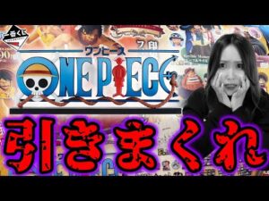 即完売多発‼︎人気過ぎるD賞ロゴフィギュア狙って全力で引いたら…【一番くじワンピースドラマティックメモリーズ】