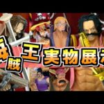 【実物展示】海賊王ヤバすぎ‼︎ これは絶対欲しい‼︎ 一番くじ ワンピース ロジャー海賊団～伝説の海賊～ レイリー シャンクス バギー クロッカス スコッパーギャバン ラストワン賞