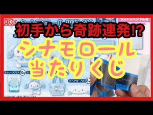 【サンリオ】初手から奇跡連発⁉️シナモロール当たりくじ❗️#sanrio #サンリオキャラクターズ #シナモロール #当たりくじ #一番くじ