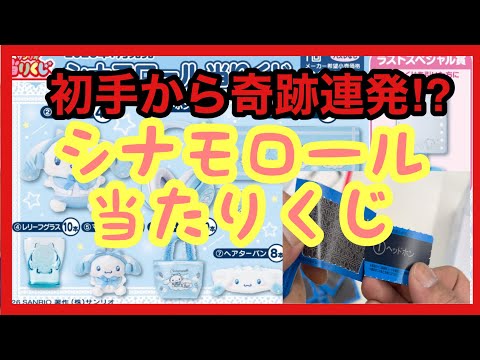 【サンリオ】初手から奇跡連発⁉️シナモロール当たりくじ❗️#sanrio #サンリオキャラクターズ #シナモロール #当たりくじ #一番くじ