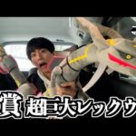 A賞がデカ過ぎる黒いレックウザの一番くじ引いたら奇跡が起きたwwwwww