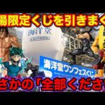 【まさかの展開】残りくじ全部ください？ワンフェス会場限定のくじ引きまくったら意外な結果に。（フィギュア、ワンフェス、Wonder Festival 2025 summer）