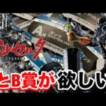 【一番くじ】ベルセルク 反撃の誓い。前評判から大人気なくじでA賞とB賞を引き当てろ‼︎