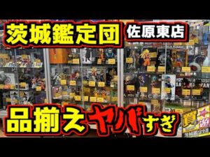 【ブラショ 茨城鑑定団】品揃えにビックリ仰天⁉︎ コレクター必見のアイテム大量展開⁉︎ 佐原東店 一番くじ フィギュア ドラゴンボール ヒロアカ ワンピース ナルト