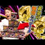【ドラゴンボール】黄金に輝く”悟空＆ベジータ”フィギュアを手に入れろ！（くじ、ドラゴンボール、ドラゴンボール超戦士フィギュア8）