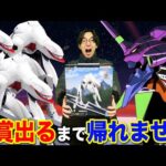 【一番くじ】エヴァンゲリオン！A賞特大フィギュア当たるまで帰れません！まさかの結末に散財が止まらない。｜一番くじ、エヴァ、一番賞