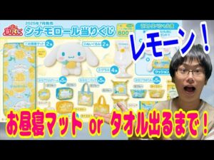 【サンリオくじ】想定外すぎる展開に！シナモロール当りくじでお昼寝マットorフェイスタオルが出るまで引き続ける!!【Sanrio/一番くじ】
