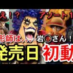 発売　岩◯さん造形　イワンコフ　初動相場　一番くじ　ワンピース　試練のその先へ　ラストワン賞　ワンピースフィギュア　フィギュア紹介　レビュー　プライズ　ワンピースカード　師弟の絆　ドラゴンボール