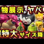 【超特大サイズで降臨‼︎ 実物展示が鬼ヤバい‼︎】一番くじ ドラゴンボールDAIMA 第2弾 ポルンガ 孫悟空 ベジータ ゴマー ダイマ ラストワン賞 魔人クウ 魔人ドゥー