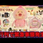 【一番くじ】こびとづかん！上位賞出るまで帰れません、まさかの大行列で●●な結果に。｜クジ、一番賞、カクレモモジリ