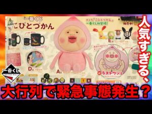 【一番くじ】こびとづかん！上位賞出るまで帰れません、まさかの大行列で●●な結果に。｜クジ、一番賞、カクレモモジリ