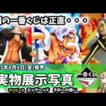 【展示写真】一番くじ ワンピース 未来島エッグヘッド きみへの想い 実物写真 フィギュア