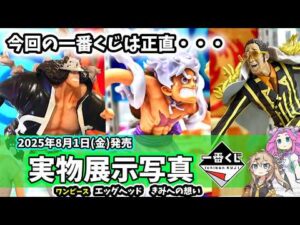 【展示写真】一番くじ ワンピース 未来島エッグヘッド きみへの想い 実物写真 フィギュア