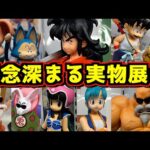 【疑惑の最新実物展示】なぜあのフィギュアだけ‥‥⁉︎ 全賞じっくり見て来た‼︎ 一番くじ ドラゴンボール EX 孫悟空修業編 ブルマ チチ 亀仙人 ヤムチャ クリリン ウーロン プーアル