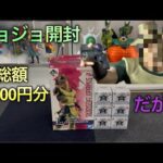 【ジョジョ一番くじ開封】俺のホルホースがァァァァ‼︎