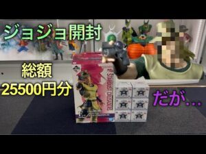 【ジョジョ一番くじ開封】俺のホルホースがァァァァ‼︎