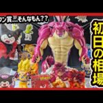 【一番くじ ドラゴンボール DAIMA】ダイマ 第2弾 ラストワン賞 ポルンガ etc. 全賞展示レビュー ／ 初日相場を見て色々喋るんよ。 【DRAGONBALL】