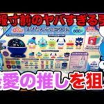 【サンリオくじ】はぴだんぶい！最愛の推し狙って大興奮、完全にやらかした引きがこちら。（ハンギョドン、ポチャッコ、けろけろけろっぴ、バッドばつ丸、あひるのペックル）