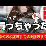 【初散財】売ったお金で高額フィギュアを買っちゃった　ドラゴンボール　フィギュア