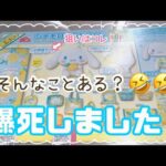 【シナモロール当たりくじ】サンリオ当たりくじ15回引いたら逆に凄い引きしちゃった！！sanrio シナモン