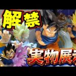 ※解禁【実物展示動画】凄いボリューム感⁉︎ コレは想像以上に⁉︎ 一番くじ ドラゴンボール スペクタクルバトル 親子かめはめ波 孫悟空 孫悟飯 ベジータ ピッコロ ラストワン賞