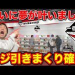 【一番くじ】ついに長年の夢が叶いました、クジ引きまくり確定の大事件がこちら（一番くじ、一番賞、公式ショップ）