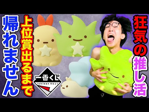 【一番くじ】すみっコぐらし！大好きな推し狙った結果がこちらです。｜一番賞、すみっコぐらし ～すみっコと夜のひとやすみ～