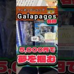 毎日一番くじ413日目ガラパゴス名物ドラゴンボールくじチャレンジ‼️5,000円で夢を👍#shorts #一番くじ #ドラゴンボール
