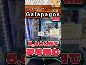 毎日一番くじ413日目ガラパゴス名物ドラゴンボールくじチャレンジ‼️5,000円で夢を👍#shorts #一番くじ #ドラゴンボール