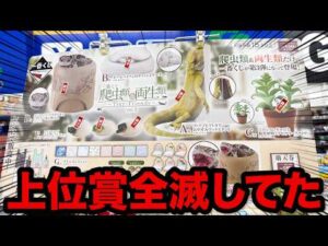 【人気すぎだろ】一番くじ爬虫類&両生類！フィギュア当たるまで引こうとしたら…｜一番くじ 爬虫類＆両生類～Tiny Friends～vol.3