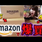 Amazonで高額フィギュアを爆買いしちゃいました