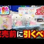 【サンリオくじ】今回も神ラインナップ✨確実に完売するので今すぐ引いてください！｜サンリオ、ハローキティ