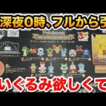 【一番くじ】ポケモン30周年vol.2 深夜フルから挑戦！ぬいぐるみを狙った結果•••
